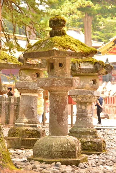 DSC_3852 (Large).JPG